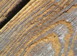 Pressure-Washer-Damaged-Wood